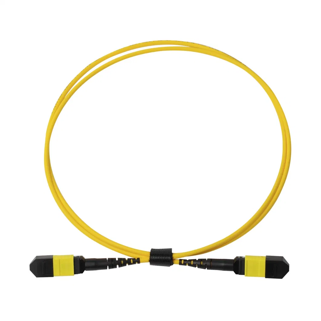 China 12/24/48/96/144 Core LC/Sc/St/FC MPO/MTP Connector FTTH Indoor Outdoor Armoured Drop LSZH PVC Fiber Optic Optical Patch Cord Pigtail Jumper Wire Cable