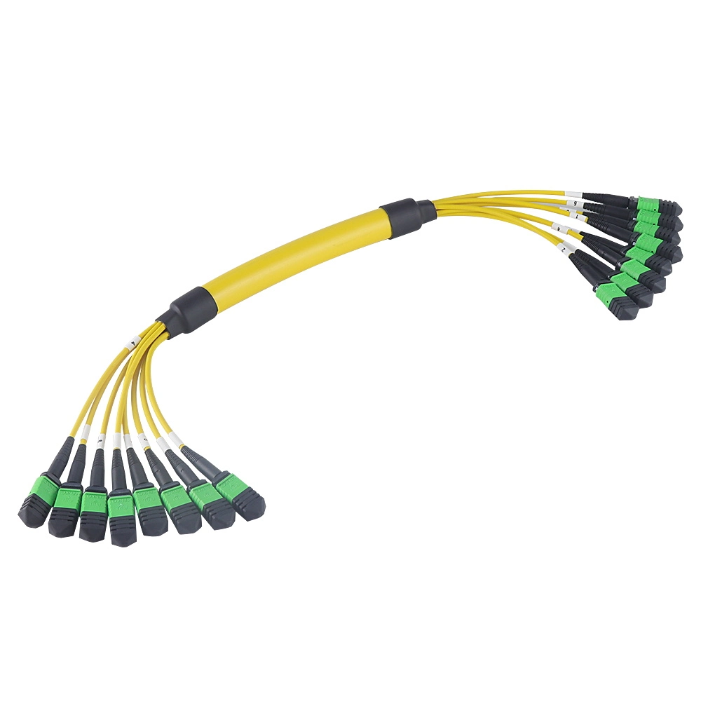 MPO/MTP-MPO/Mpt Patchcord mm/Sm Om2 (male/female)