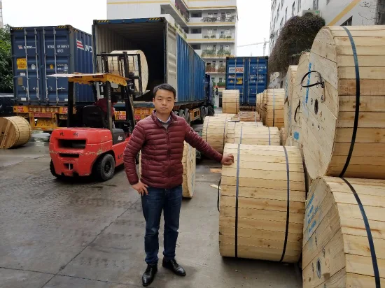 Mini convertisseur de média d'alimentation d'usine de câbles à fibres optiques